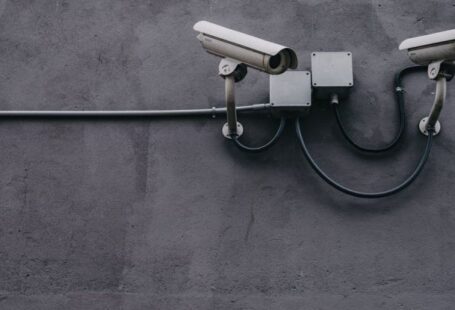 Privacy Concerns - Two Gray Bullet Security Cameras