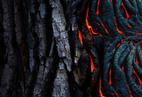 Parallel Computing - Photo of Dried Lava