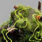 AI Ecosystems - An artist’s illustration of artificial intelligence (AI). This image depicts how AI could help understand ecosystems and identify species. It was created by Nidia Dias as part of the Visua...